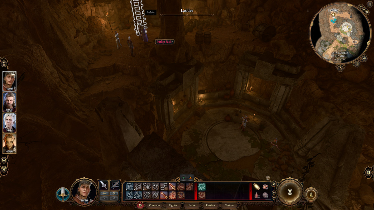 Une capture d'écran prise à côté de la « Chambre isolée » dans le Druid Grove de Baldur's Gate 3.
