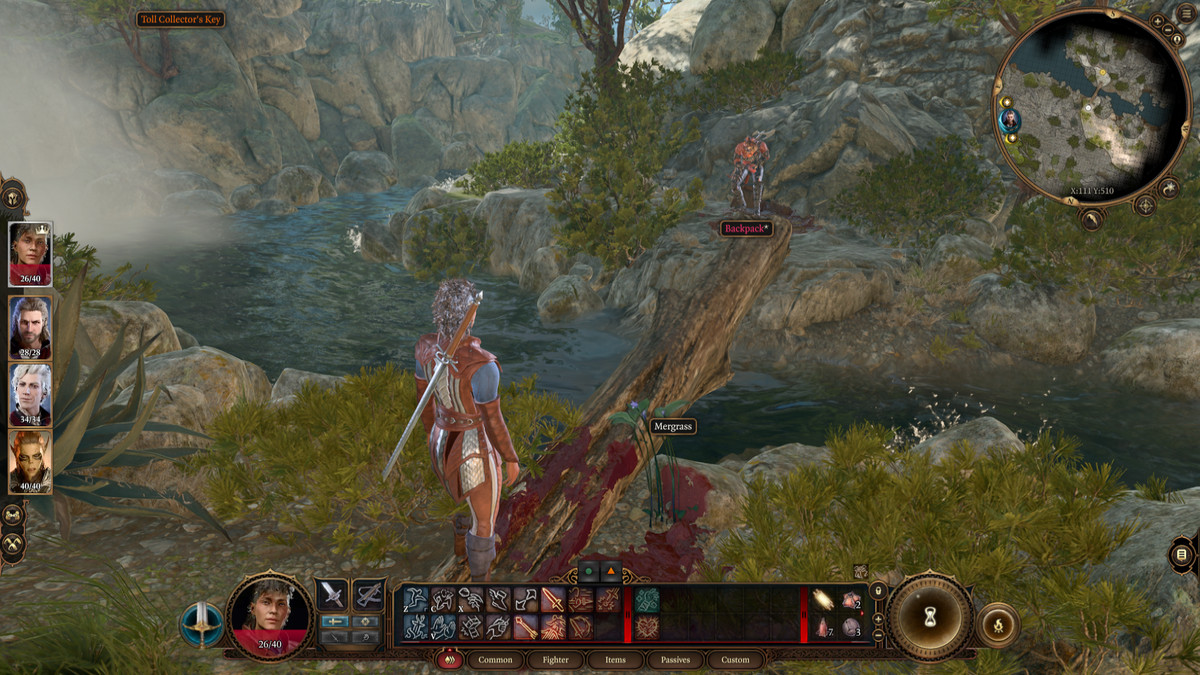 Une capture d'écran de Baldur's Gate 3, montrant un personnage joueur debout dans une éclaboussure de sang, s'approchant de Karlach, avec un ruisseau qui coule entre eux.