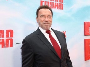 Arnold Schwarzenegger - Fubar - LA Première - Netflix - Getty