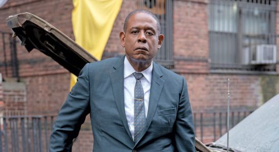 Godfather of Harlem TV show on MGM+: canceled or renewed?