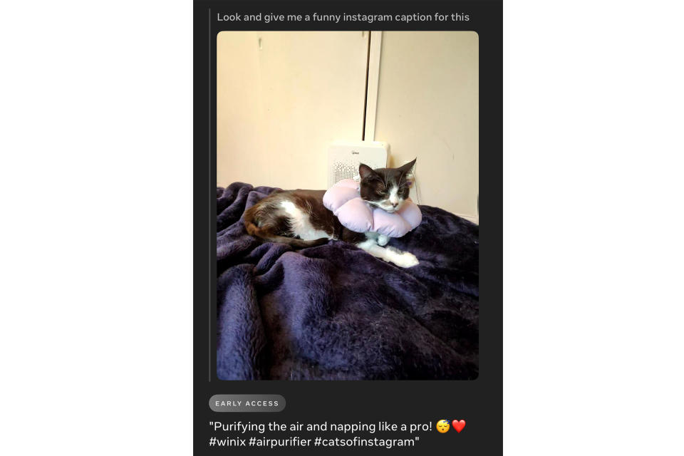 Suggestion de Meta AI pour une légende Instagram amusante pour une photo de mon chat.