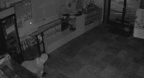 Security camera footage of a criminal robbing Tofu