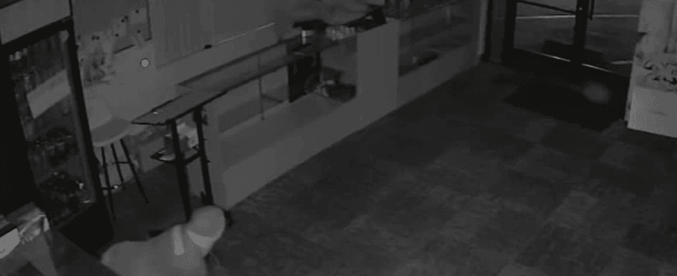 Security camera footage of a criminal robbing Tofu