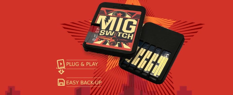 Le pirate informatique de Nintendo emprisonné, Gary Bowser, nie le lien vers le nouveau panier flash Switch