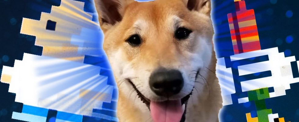 Nous commençons 2024 en interviewant le premier chien Speedrunner au monde