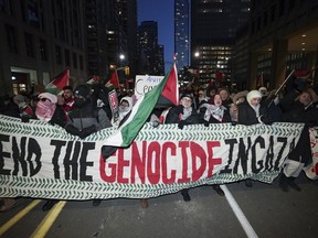 Des manifestants assistent à un rassemblement de soutien à la Palestine à Toronto, le dimanche 14 janvier 2024.