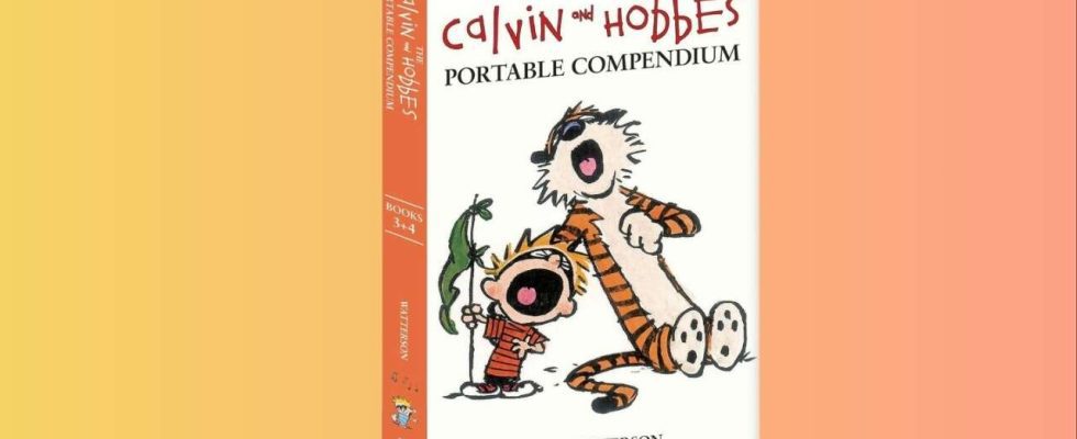 Le recueil Calvin et Hobbes économique en précommande sur Amazon