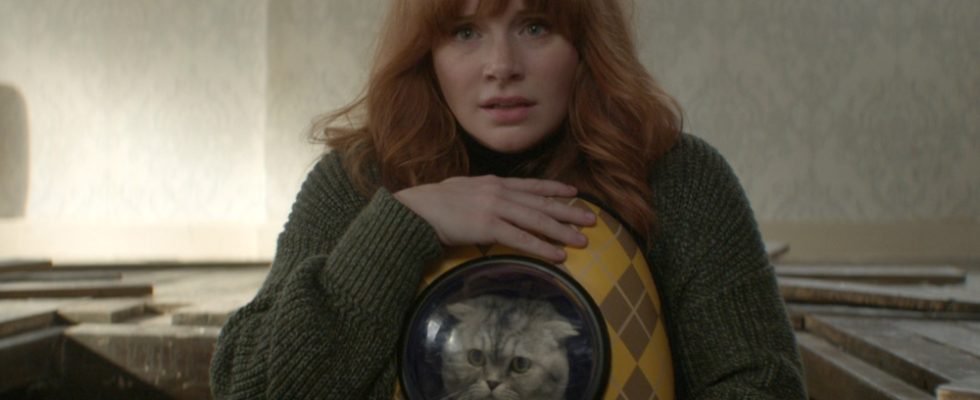ARGYLLE, Bryce Dallas Howard, with cat Chip