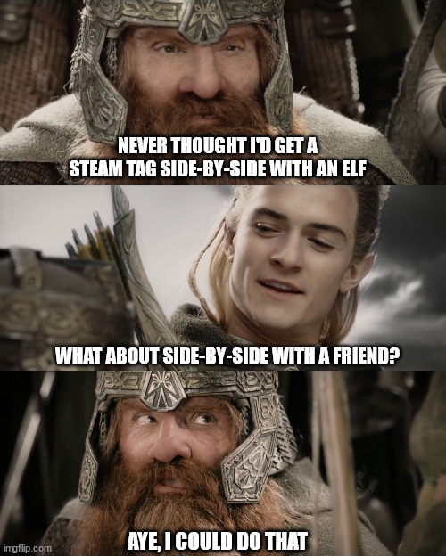 Je n'aurais jamais pensé avoir un tag Steam côte à côte avec un elfe.  Que diriez-vous d'être côte à côte avec un ami ?  Ouais, je pourrais faire ça.
