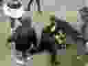 Cette image tirée d'une vidéo fournie par le service de police de la ville de New York montre des policiers affrontant un groupe près de Times Square à New York, le 27 janvier 2024, amenant un homme vêtu d'un manteau jaune vif sur le trottoir et la scène chaotique qui se déroule alors que on voit au moins une demi-douzaine de passants donner des coups de pied aux policiers, puis essayer de les arracher à l'homme. 