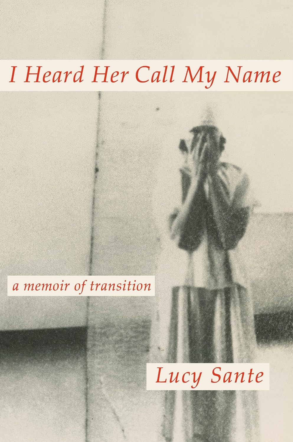 un graphique de la couverture de I Heard Her Call My Name: A Memoir of Transition par Lucy Sante