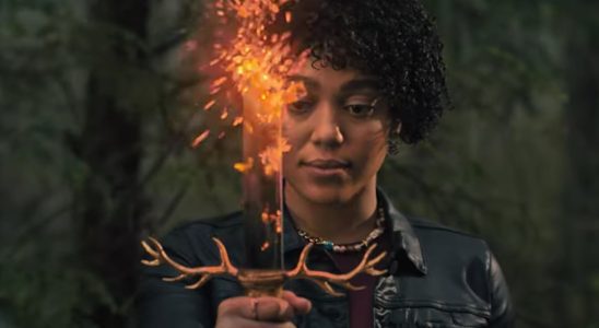 The Spiderwick Chronicles TV Show on The Roku Channel: canceled or renewed?