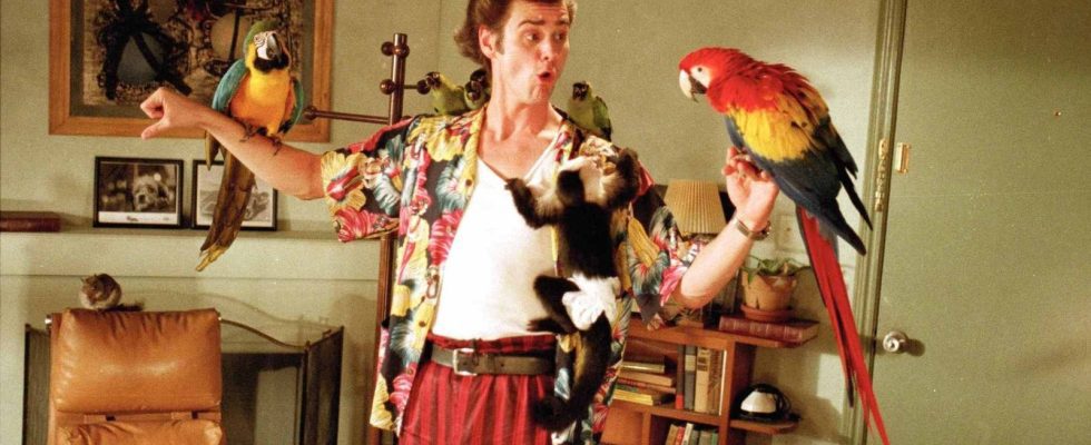 Ace Ventura : Le détective pour animaux de compagnie a fait de Jim Carrey un phénomène au box-office des années 90