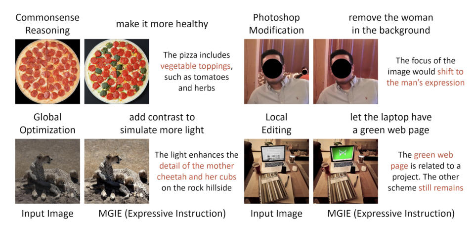 Photos de pizzas, de cheetas, d'un ordinateur et d'une personne.