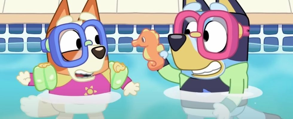 Bingo and Bluey in the pool