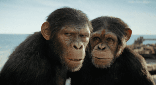 La bande-annonce du Royaume de la planète des singes est un regard épique sur un nouveau monde divisé