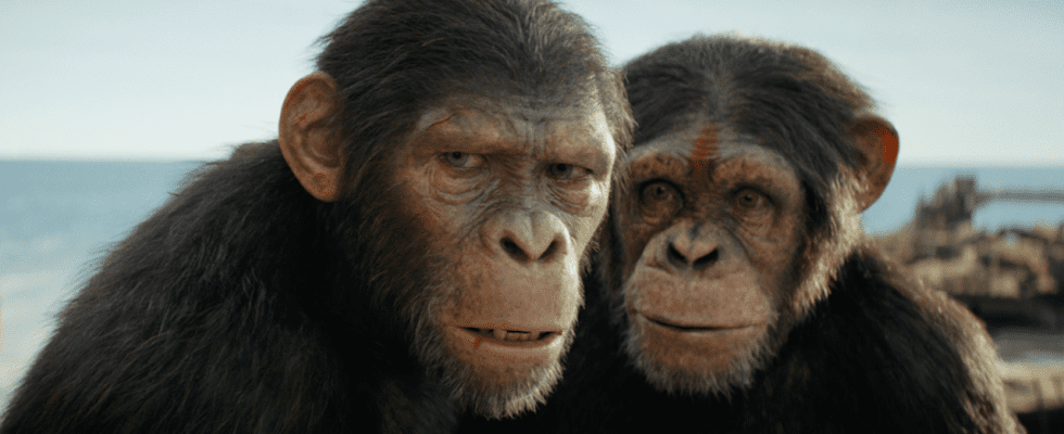 La bande-annonce du Royaume de la planète des singes est un regard épique sur un nouveau monde divisé