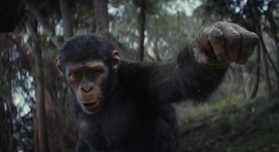 La bande-annonce du Super Bowl du Royaume de la planète des singes présente une aventure épique entre humains et singes après le règne de César