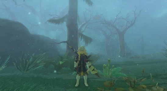 Link in Korok Forest in The Legend of Zelda: Tears of the Kingdom.