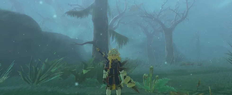 Link in Korok Forest in The Legend of Zelda: Tears of the Kingdom.