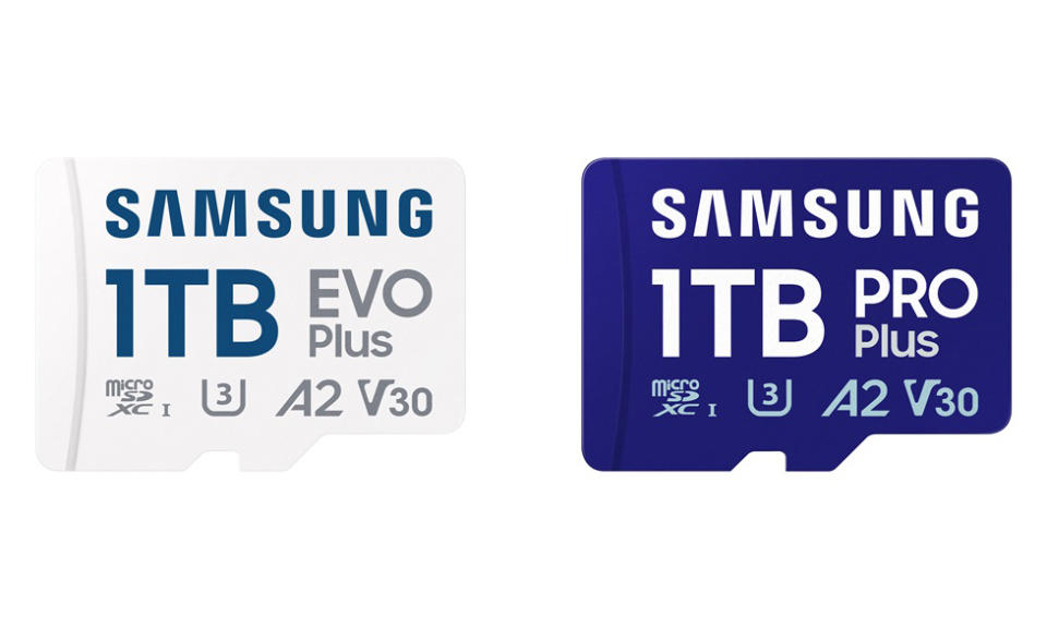 Image du produit pour une carte microSD Samsung de 1 To.  Deux cartes (une blanche, une autre bleue) sur fond blanc.
