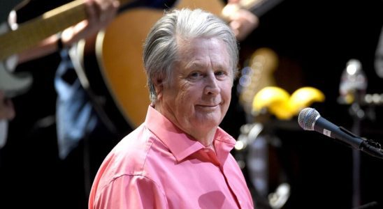 Brian Wilson performs on stage