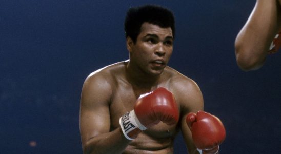 Le drame de Muhammad Ali, Fight Night, confirme 6 étoiles supplémentaires au casting