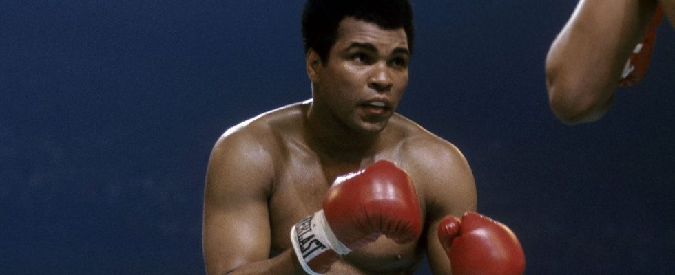 Le drame de Muhammad Ali, Fight Night, confirme 6 étoiles supplémentaires au casting