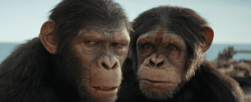 Le réalisateur du Royaume de la planète des singes prépare une trilogie et sa star nous a fait part de ses réflexions