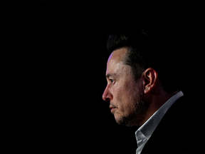 Elon Musk de profil