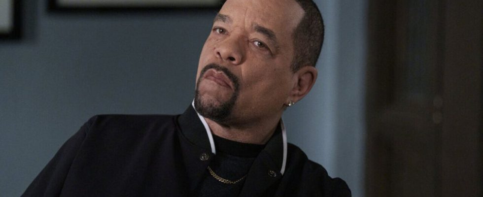 Ice-T as Fin in Law & Order: SVU Season 25x05