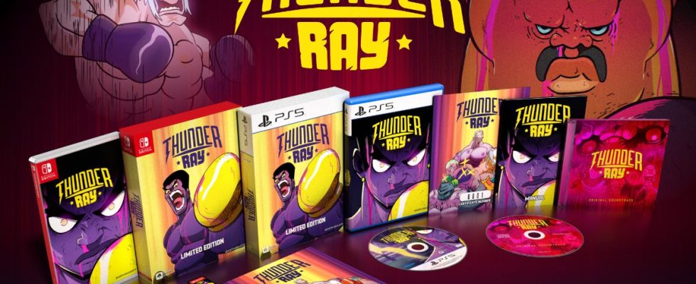 Thunder Ray obtient une sortie physique sur Switch