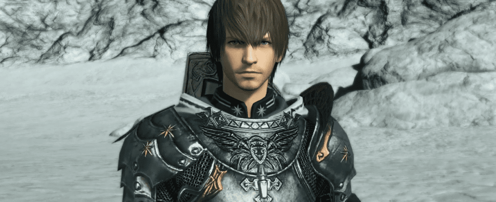 Warrior of Light in Final Fantasy XIV