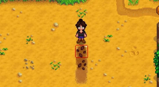 How To Get Carrot Seeds in Stardew Valley