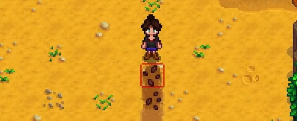 How To Get Carrot Seeds in Stardew Valley