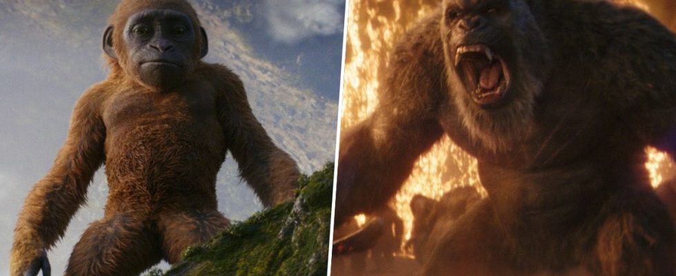Godzilla x Kong : tous les kaiju, titans et créatures de la suite de MonsterVerse
