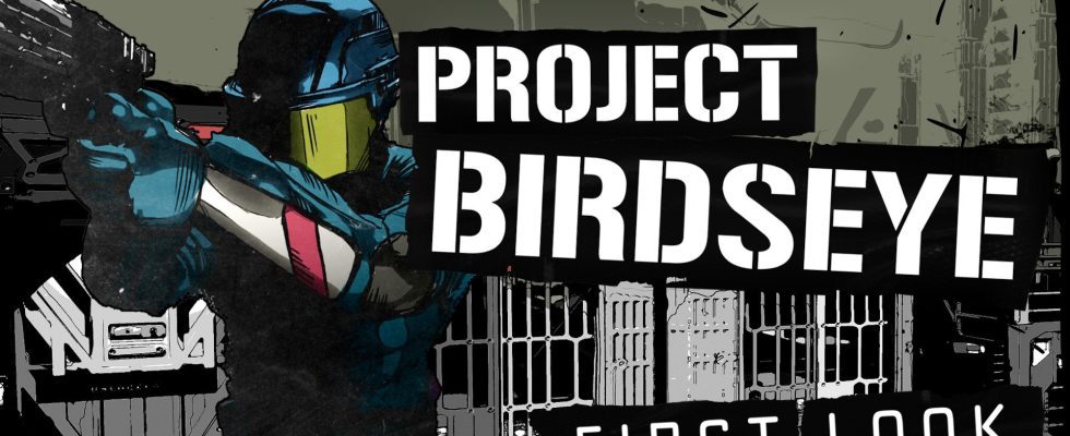 Annonce du projet Birdseye : jeu d'action roguelike se déroulant dans la prison de fer noir du protocole Callisto