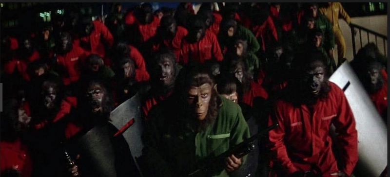 Les singes se sont rassemblés pour la conquête de la planète des singes.  Cette image fait partie d'un article sur chaque film La Planète des singes, classé du pire au meilleur.