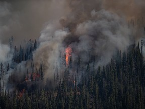 L'incendie de forêt de White Rock Lake brûle à l'ouest de Vernon, en Colombie-Britannique, le jeudi 12 août 2021.