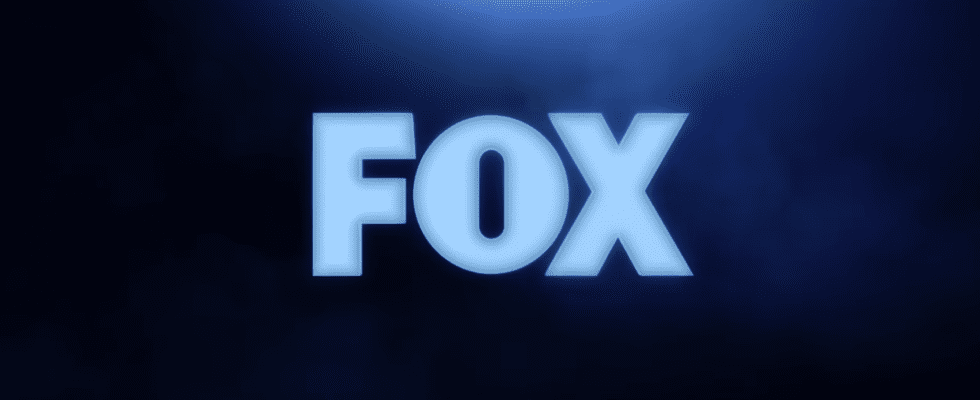 Doc : Casting révélé pour une nouvelle série dramatique médicale sur FOX