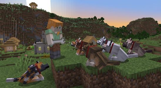 La mise à jour de Minecraft ajoute des variantes de loups demandées depuis longtemps après plus de 10 ans d'attente