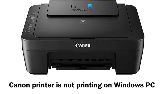 L'imprimante Canon n'imprime pas