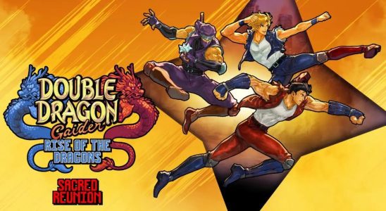 Double Dragon Gaiden: Rise of the Dragons Adds Online Co-Op and More Next Month 3453
