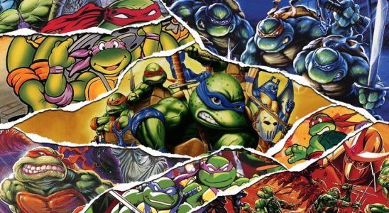 Teenage Mutant Ninja Turtles : la collection Cowabunga est retirée de la liste au Japon ce mois-ci